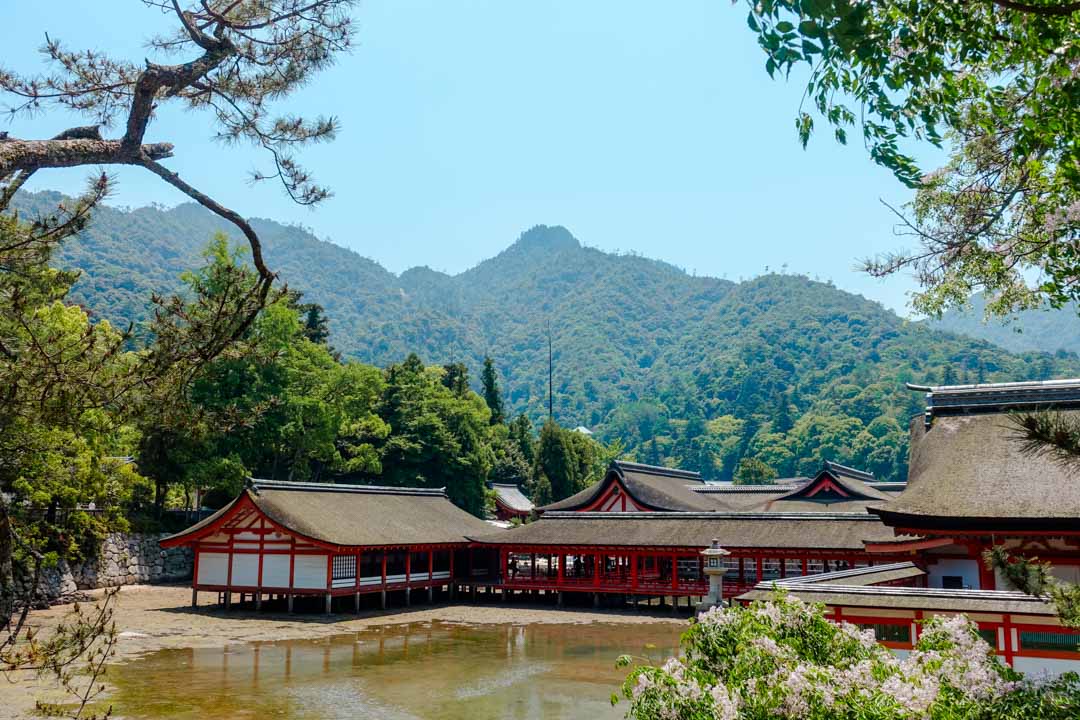 japan itsukushima schrein bei ebbe japan itsukushima schrein bei ebbe