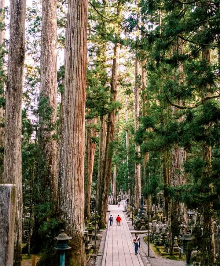 japan koya san weg im okuno in friedhof