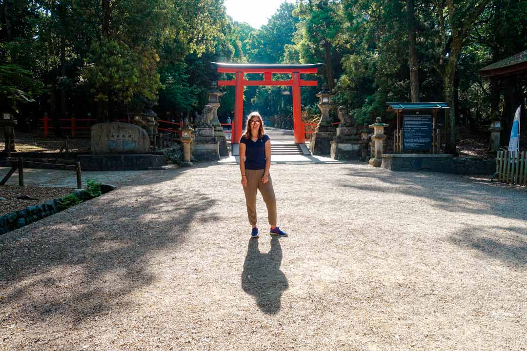 japan nara anfang des waldweges zum kasuga taisha schrein japan nara anfang des waldweges zum kasuga taisha schrein
