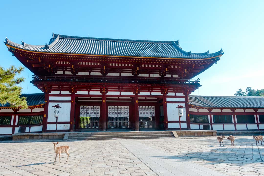 japan nara eingang todai ji tempel japan nara eingang todai ji tempel