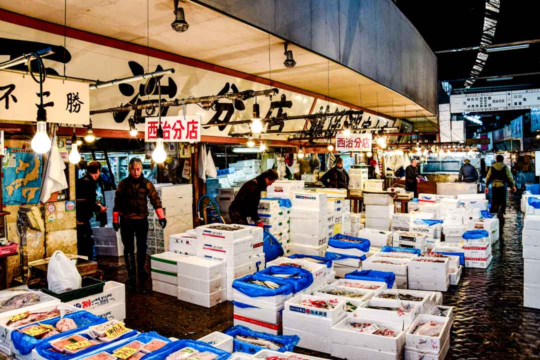 japan tsukiji fischmarkt japan tsukiji fischmarkt