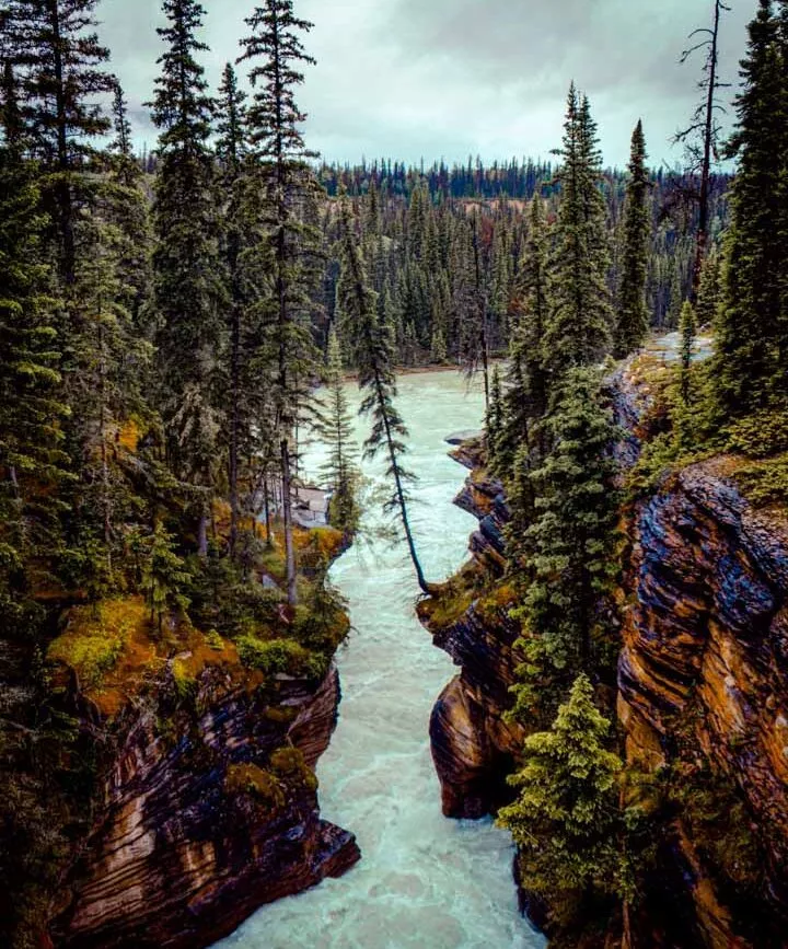 kanada athabasca falls 2 kanada athabasca falls 2
