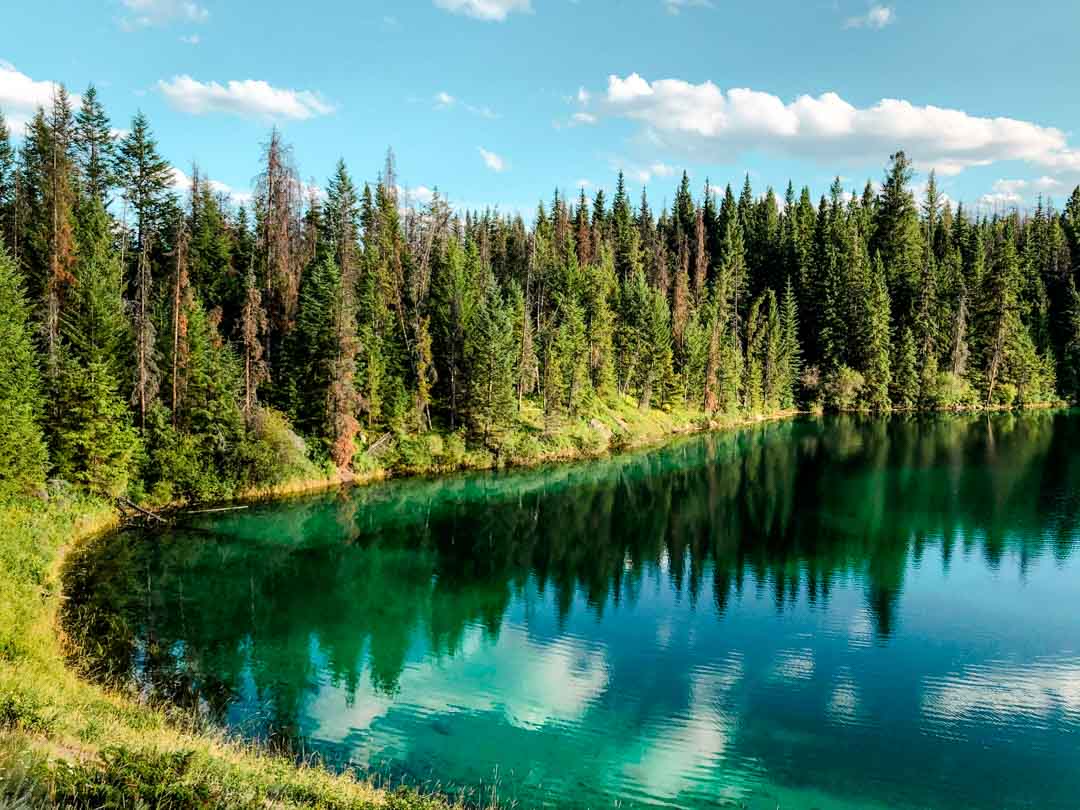 kanada nahe athabasca falls kanada nahe athabasca falls