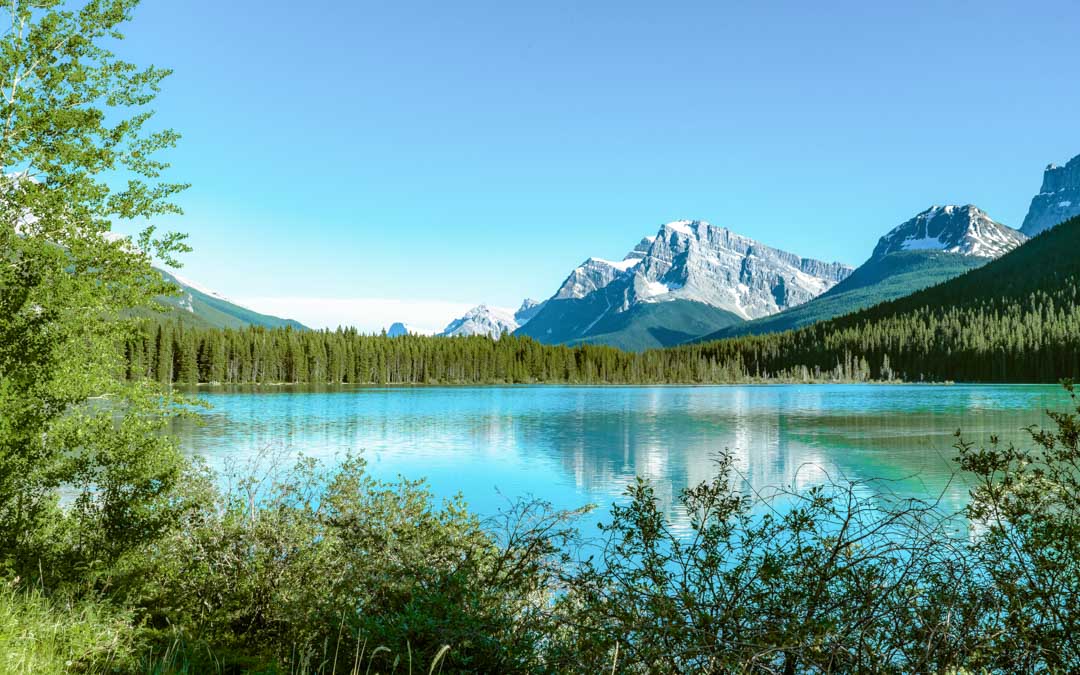 kanada rockies bow lake kanada rockies bow lake