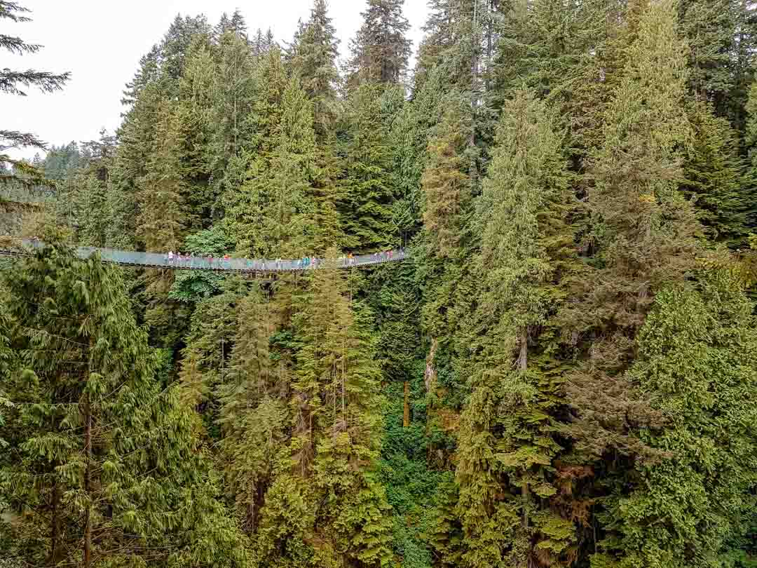kanada vancouver capilano suspension bridge kanada vancouver capilano suspension bridge
