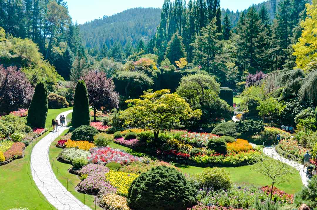 kanada victoria butchart gardens