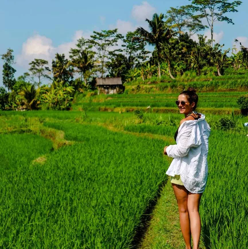 kleine wanderung durch die sidemen reis terrassen kleine wanderung durch die sidemen reis terrassen