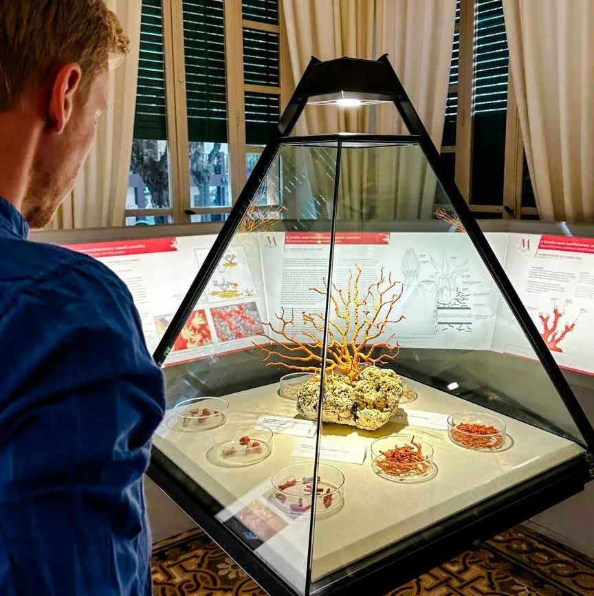 korallenmuseum alghero 3