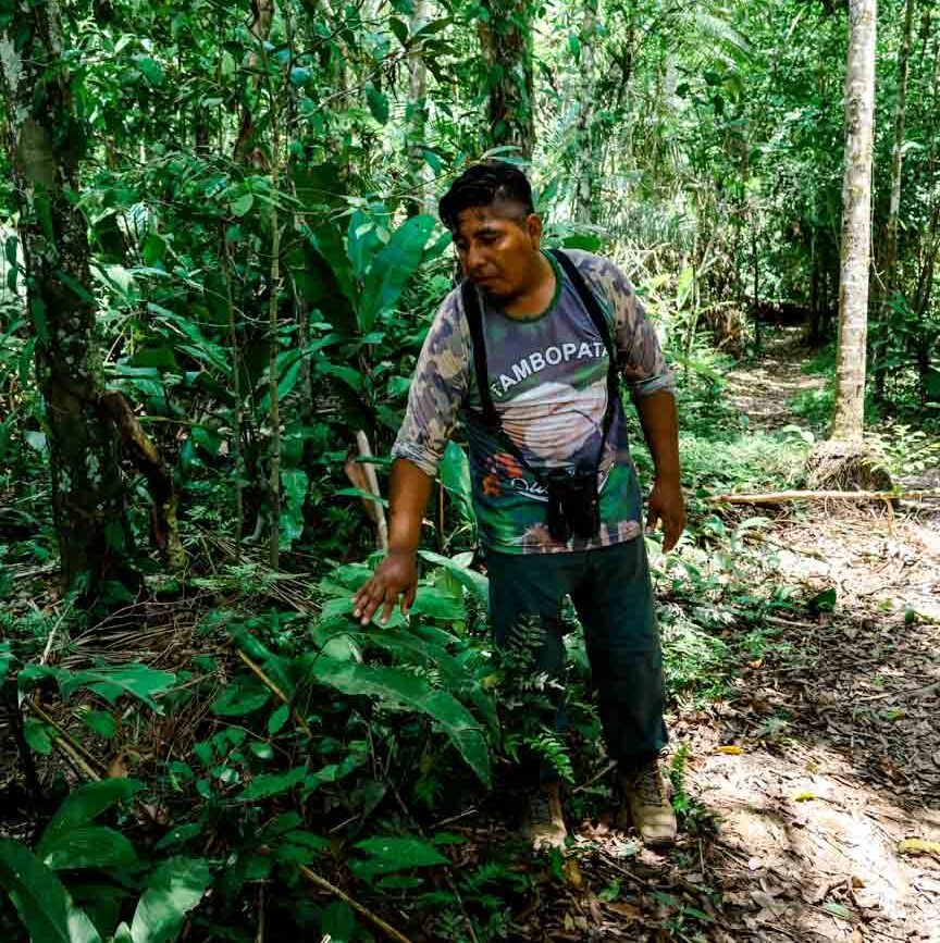 mann im dschungel von puerto maldonado amazonas