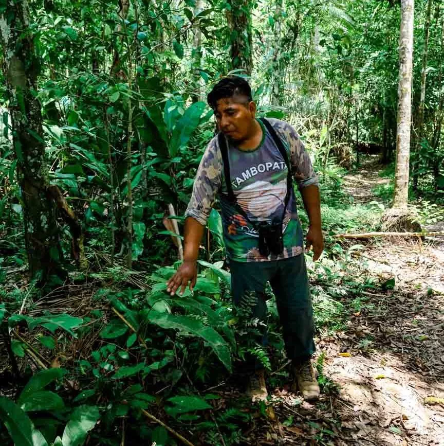 mann im dschungel von puerto maldonado amazonas