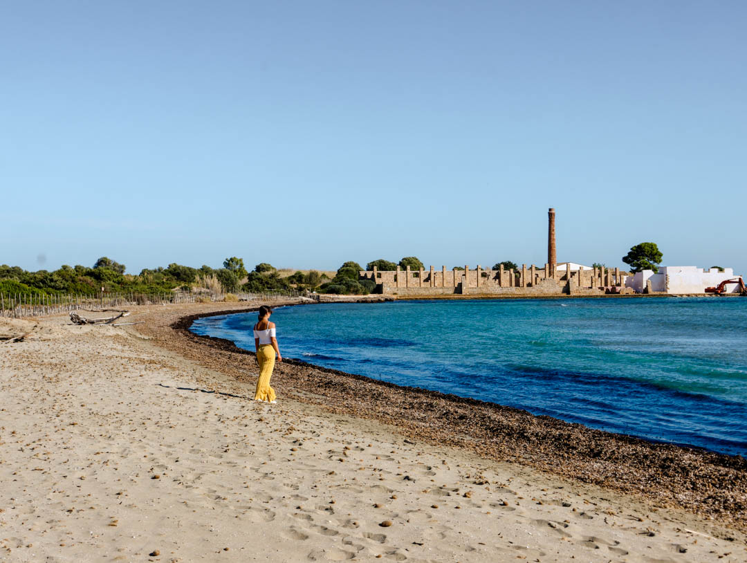 oasi faunistica di vendicari strand bei san lorenzo oasi faunistica di vendicari strand bei san lorenzo