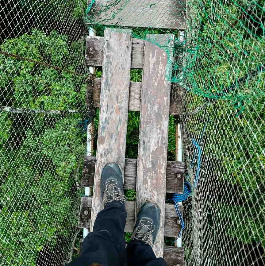 person steht auf seilbruecke im dschungel von puerto maldonado