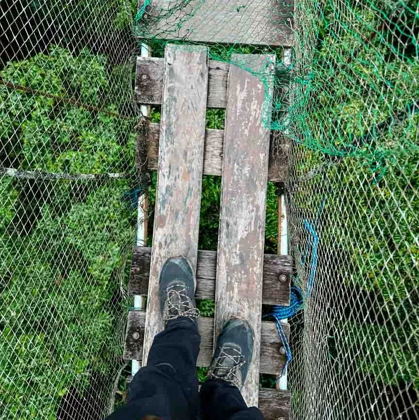 person steht auf seilbruecke im dschungel von puerto maldonado