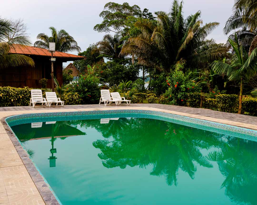 pool umgeben von vegetation und baeumen