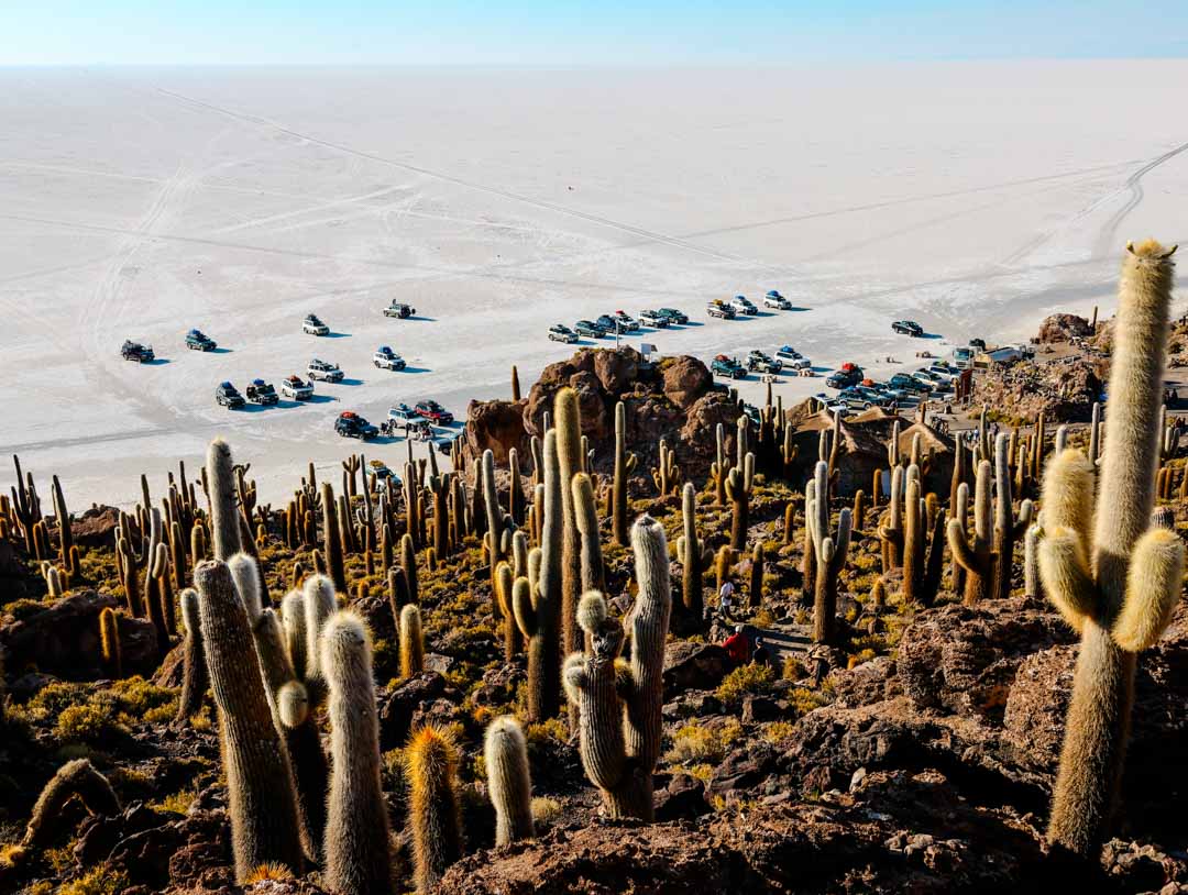 salar de uyuni kakteeninsel