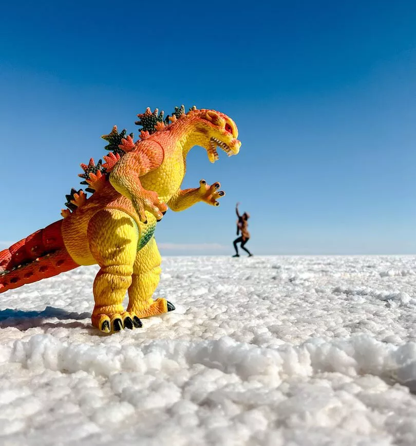 salar de uyuni lustige bilder 2