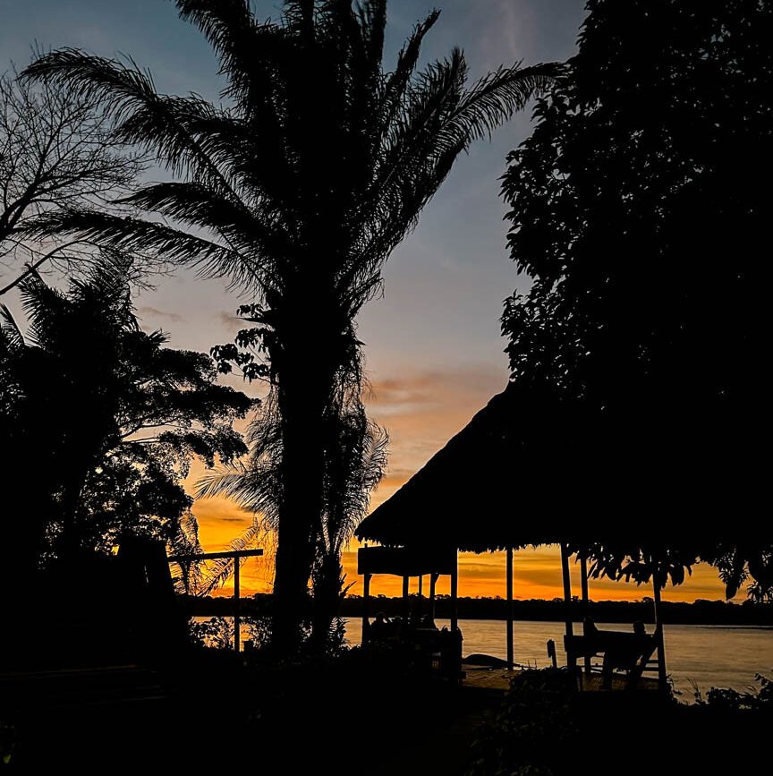 silhouette von palme und huette im dschungel bei sonnenuntergang