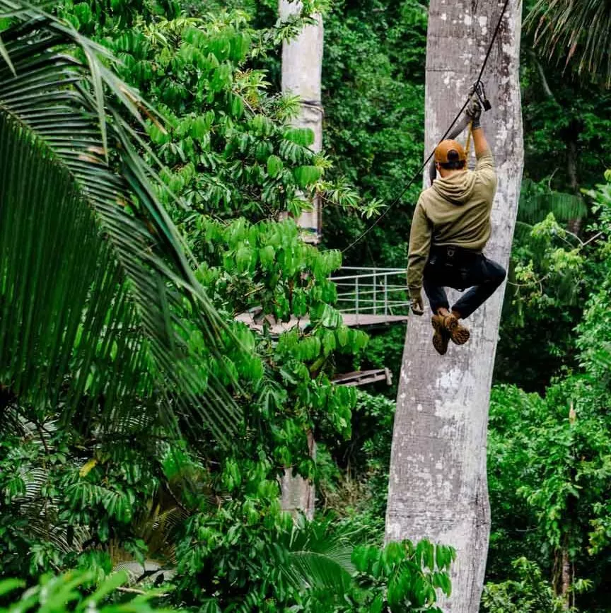 zip line zwischen den baeumen