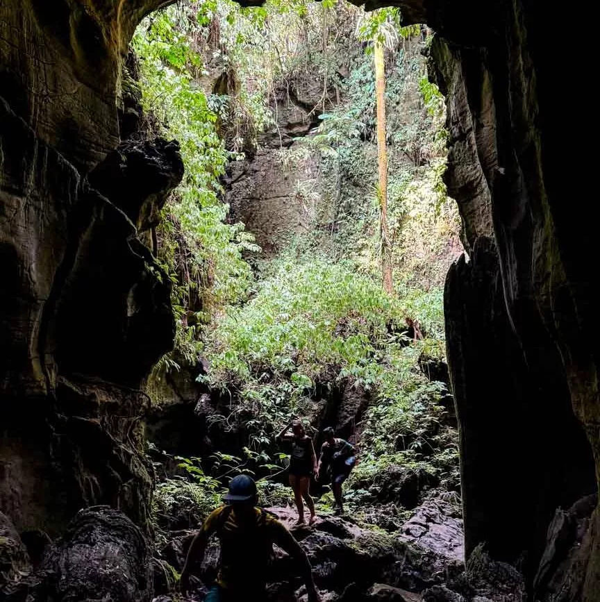bat cave bukit lawang 2