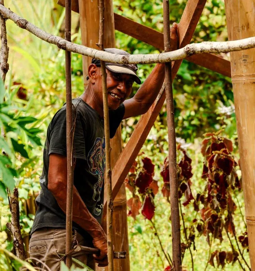 botanical garden project wings