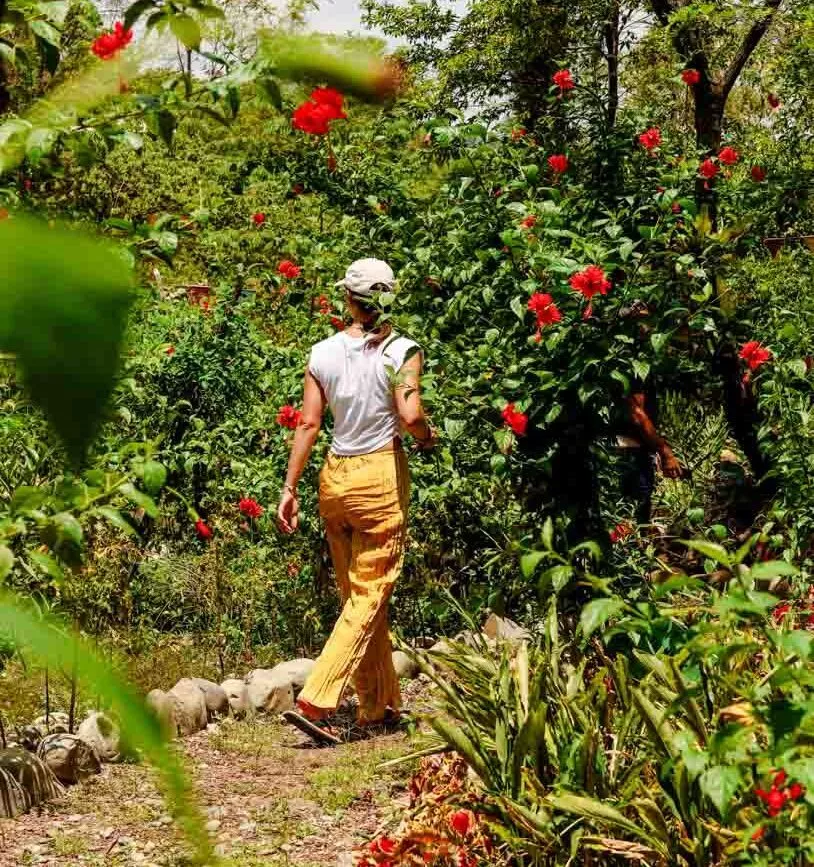 botanical garden project wings indonesien