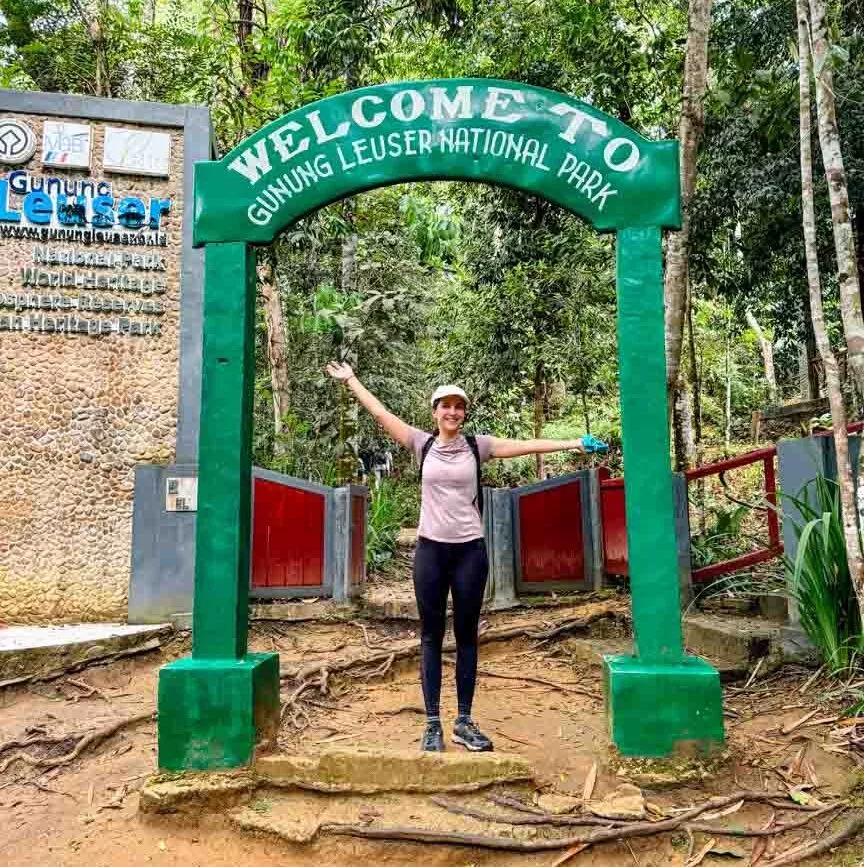 gunung leuser nationalpark auf sumatra