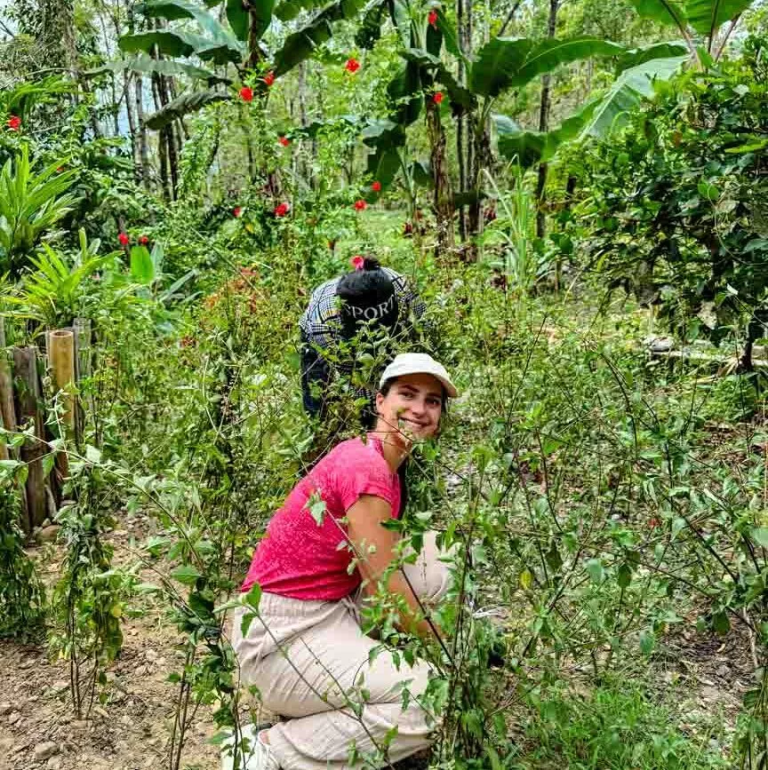im botanical garden mithelfen bei project wings