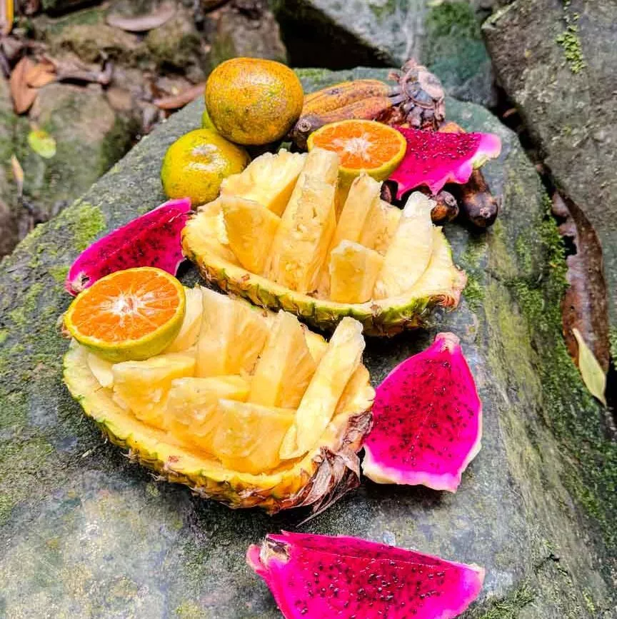 nachtisch beim dschungel trekking