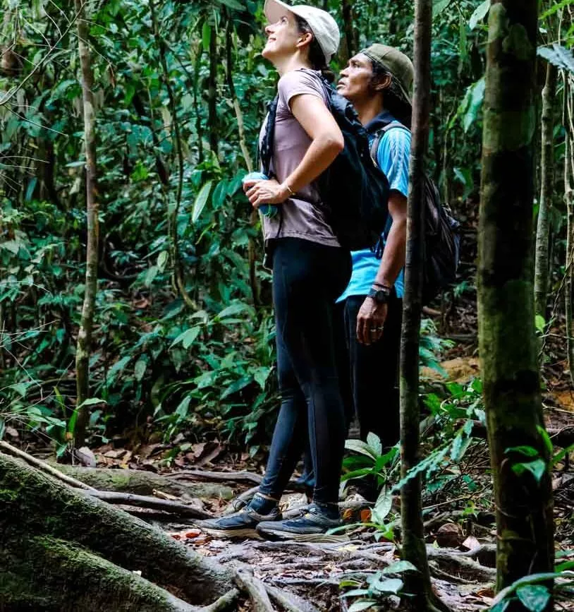 orang utan trekking bukit lawang