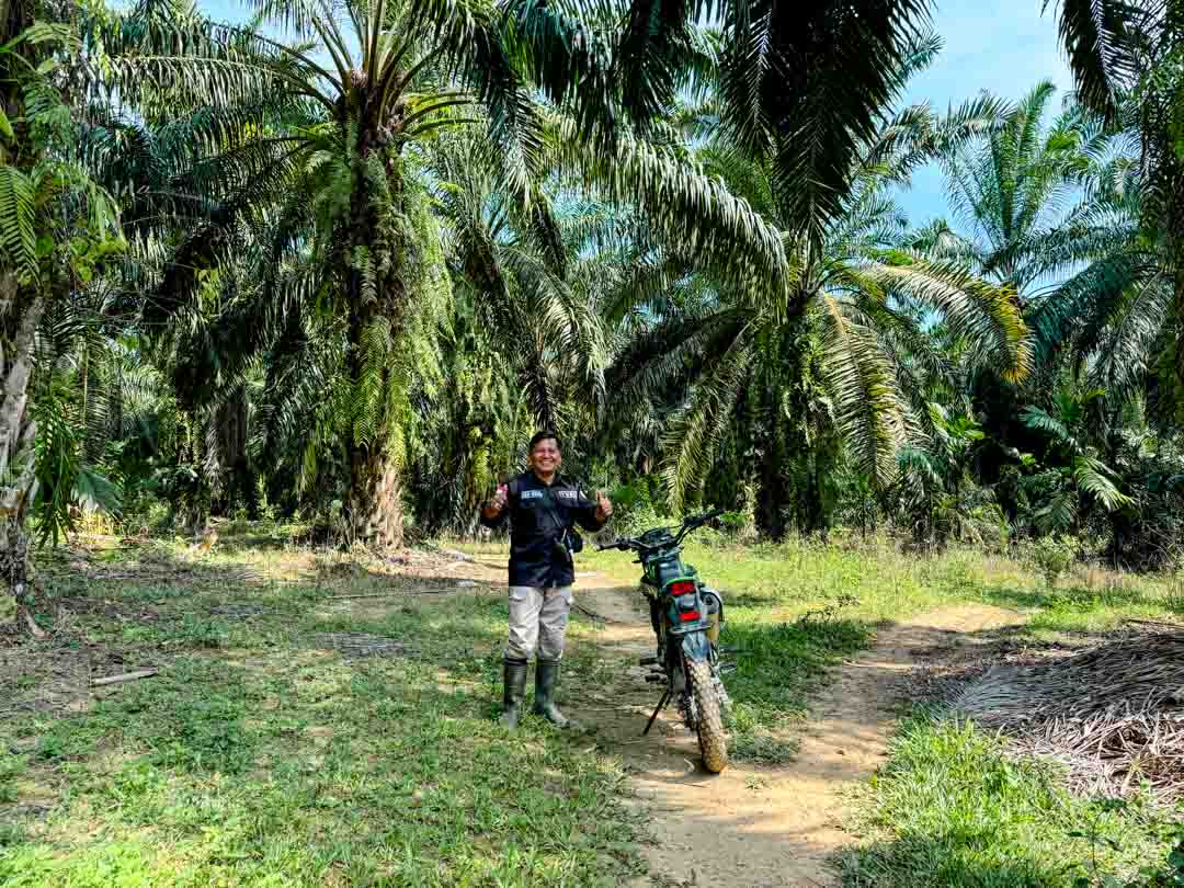 rangertour bei der freiwilligenarbeit in indonesien