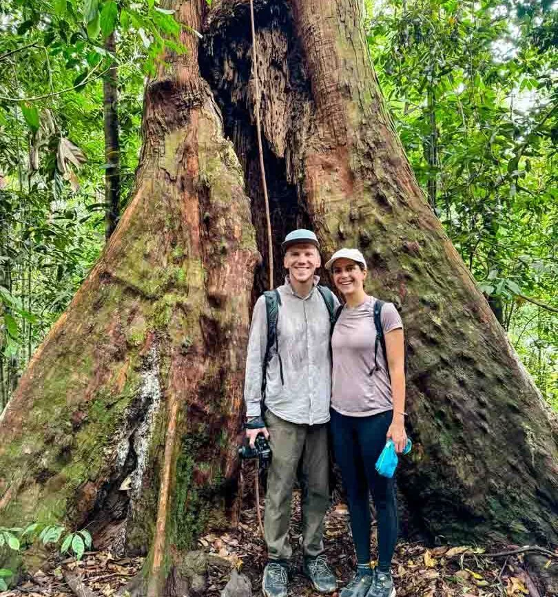 regenwald in sumatra als volunteer schuetzen