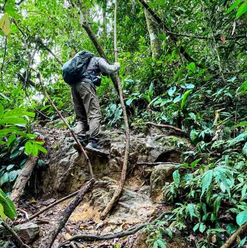 tom beim dschungel trekking in bukit lawang