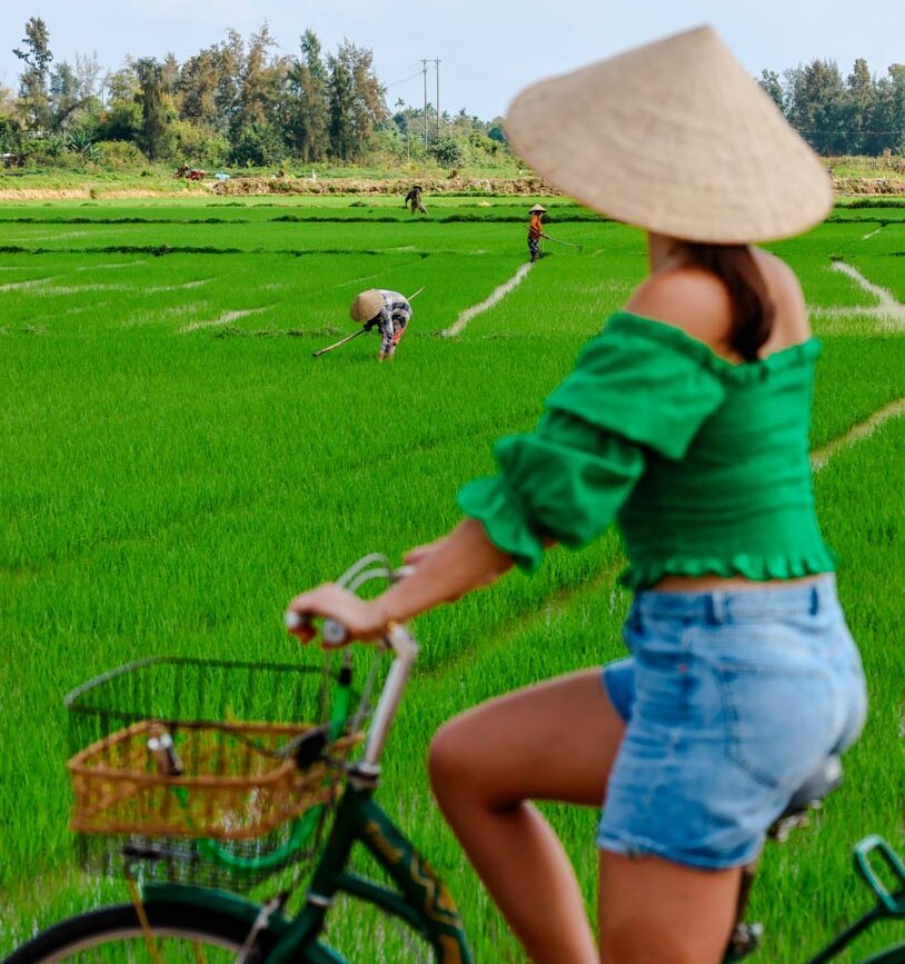 fahrradtour in hoi an zu reisfeldern