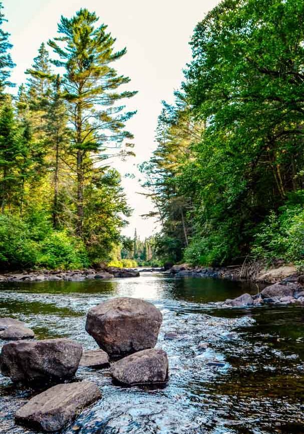 Kanada Algonquin Park Hike