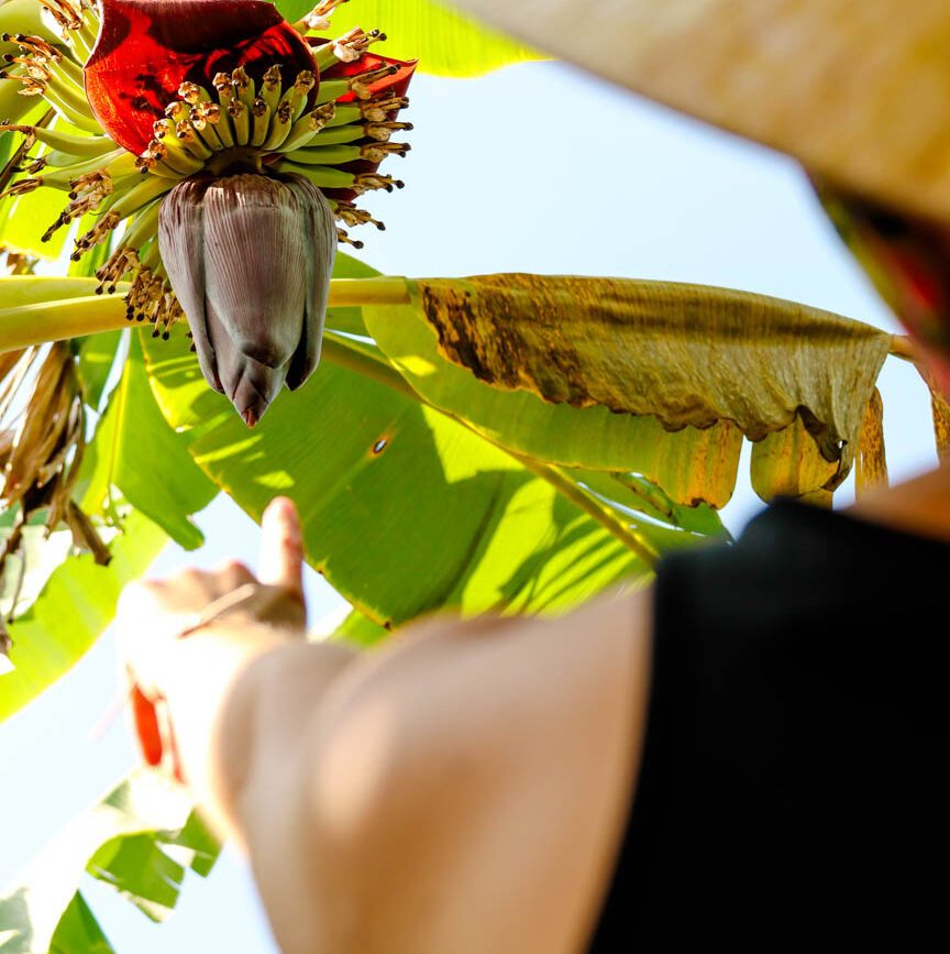 mekong delta in vietnam
