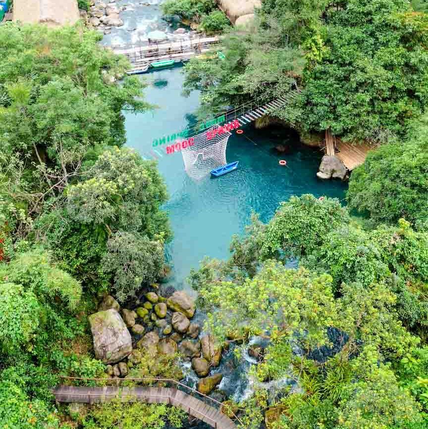 mooc springs in vietnam