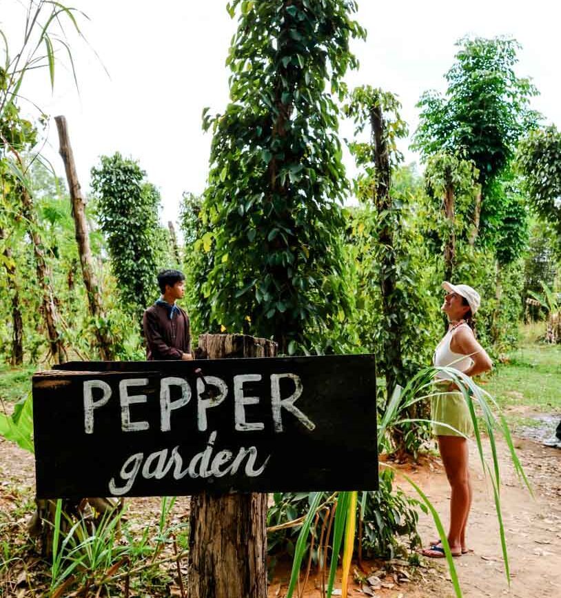 pfefferfarm auf phu quoc