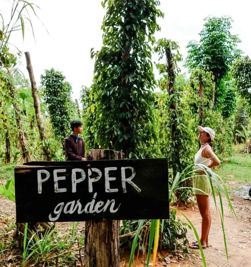 Pfefferfarm auf Phu Quoc