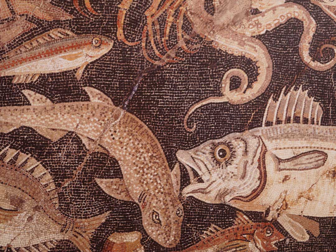 pompeji mosaik haus des faun