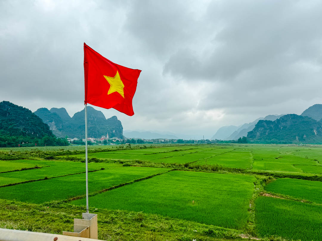 reisfelder bei phong nha