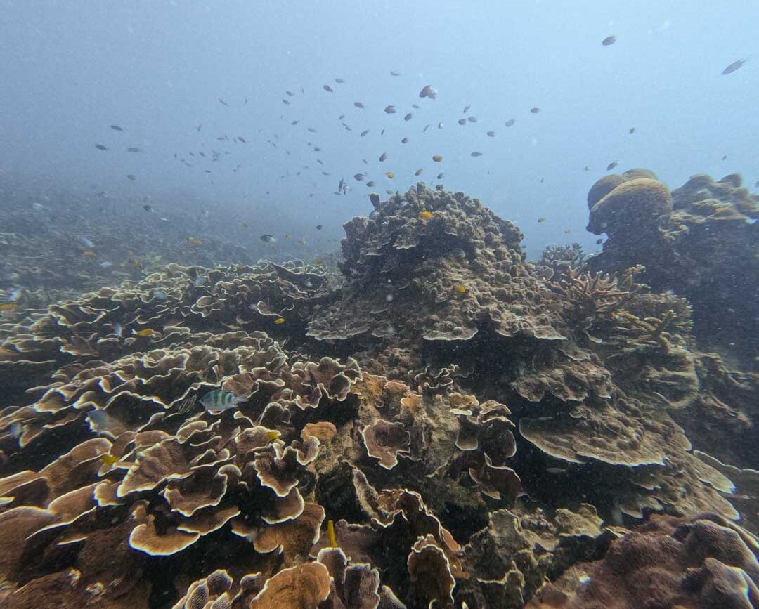 riff auf con dao in vietnam