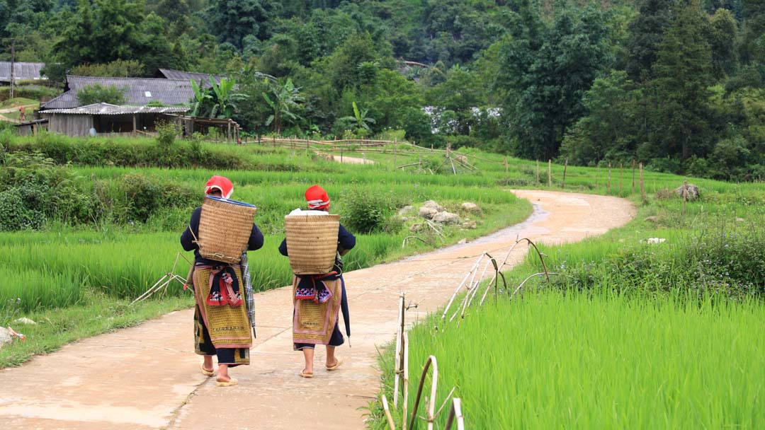 sapa 2 tages trekking sapa 2 tages trekking