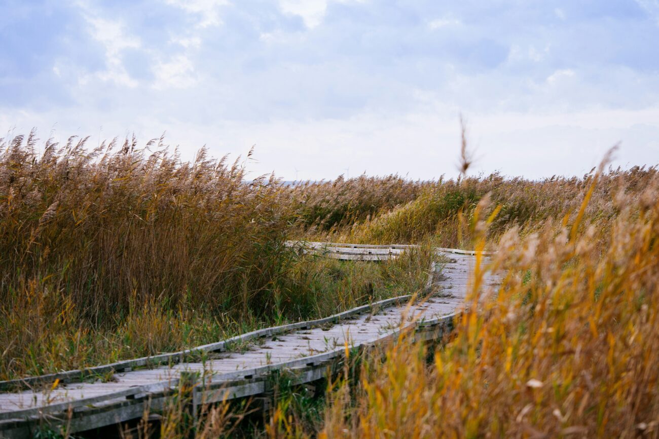 Schweden Öland Wanderweg