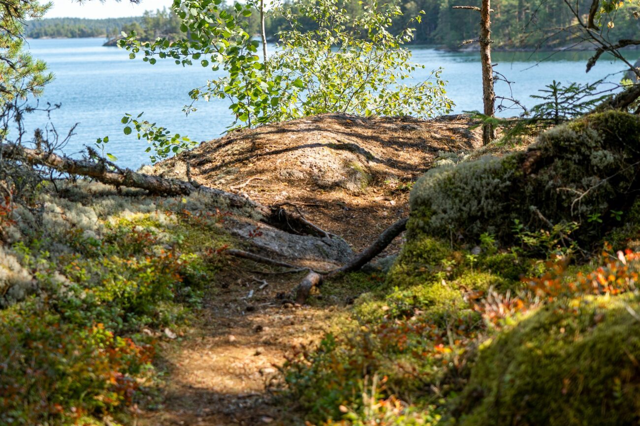 Schweden Tiveden National Park