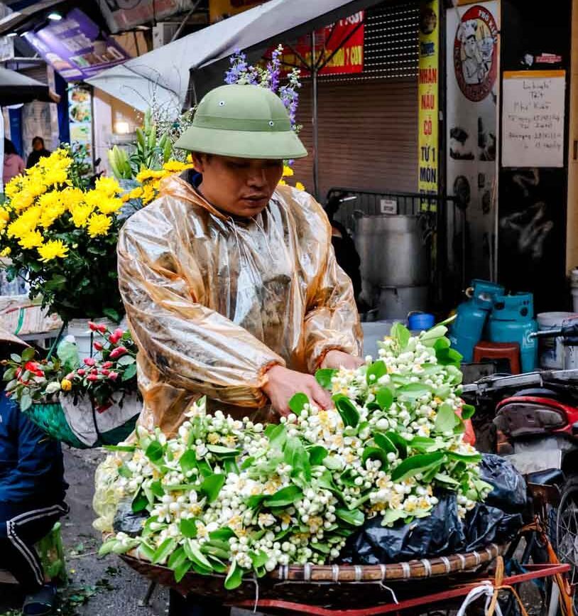 vietnamese verkauft blumen in hanoi