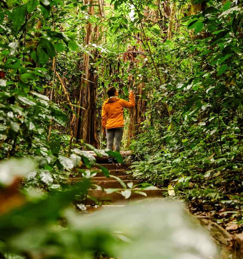 wanderung im cuc phuong nationalpark