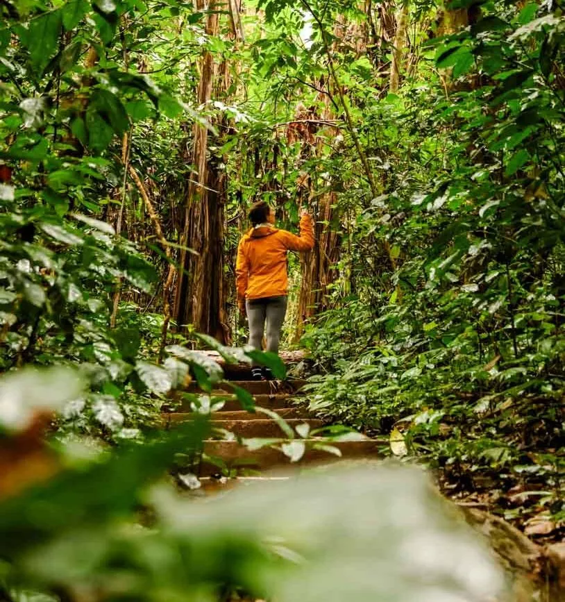wanderung im cuc phuong nationalpark wanderung im cuc phuong nationalpark