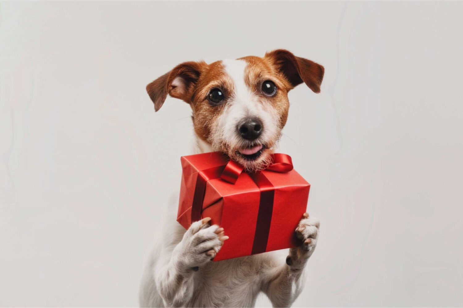 TOP 50 Geschenke zum Einzug Was du geniales schenken kannst!