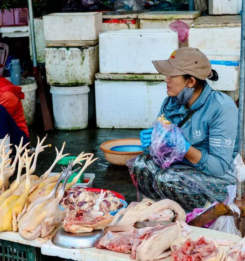 hoi an haendler verkauft rohes gefluegel marktstand