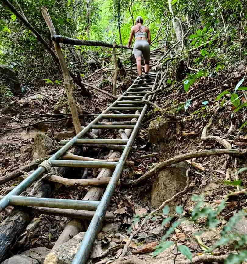 Leitern bei der Wanderung auf den Tiên Sơn Đỉnh